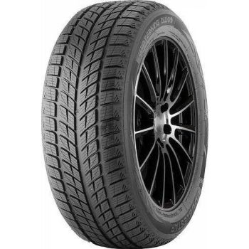 215/45R17 DOUBLESTAR DW09 91H XL FR DOUBLESTAR Žieminės padangos