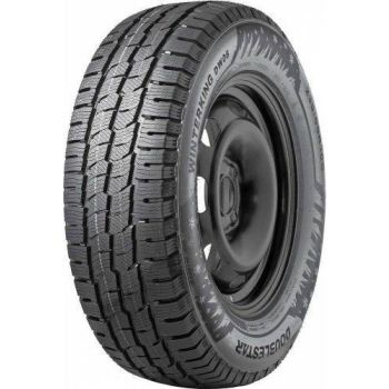 205/65R16C DOUBLESTAR DW06 107/105R DOUBLESTAR Žieminės padangos